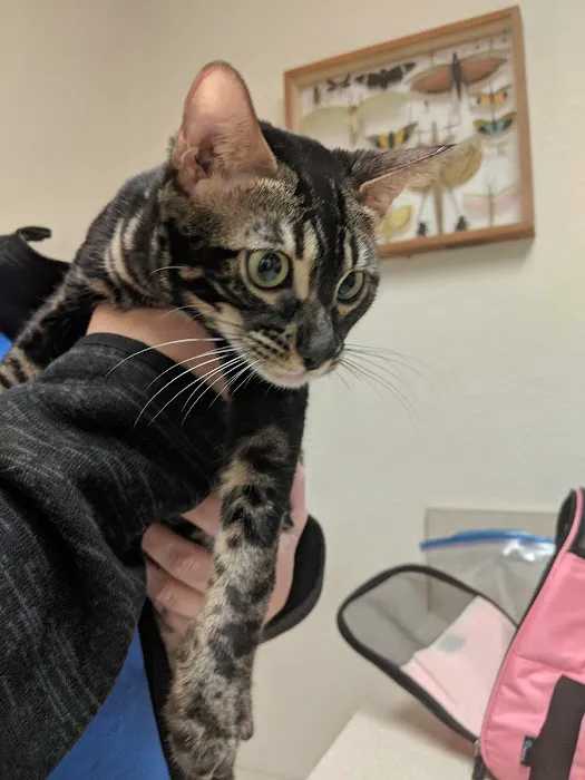 Peace River Veterinary Clinic 12