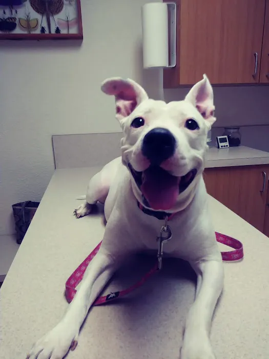 Peace River Veterinary Clinic: Degrove Reece Julie DVM 1