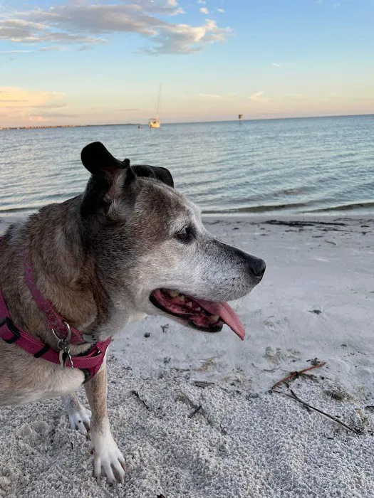 Dr. Ally's Animal Clinic of Punta Gorda (Animal Medical Clinic of Punta Gorda) 12