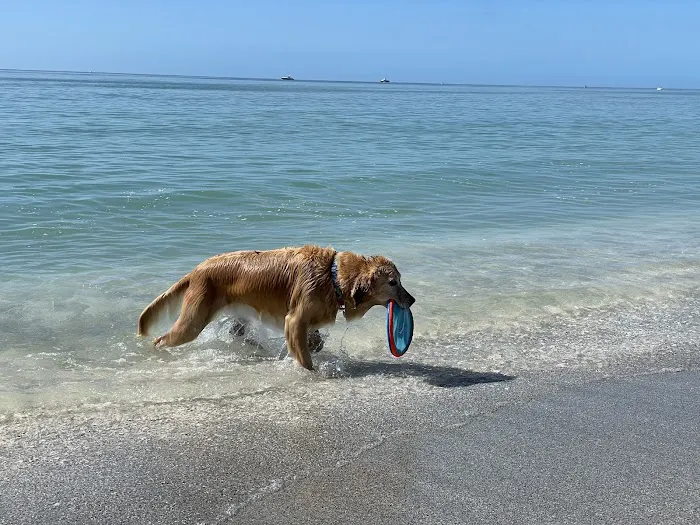 Dr. Ally's Animal Clinic of Punta Gorda (Animal Medical Clinic of Punta Gorda) 12