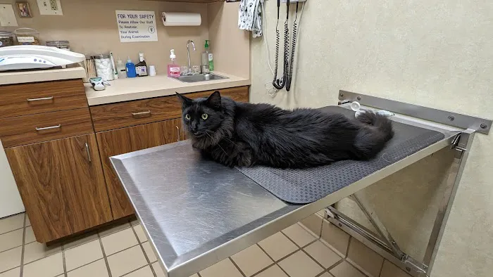 Punta Gorda Animal Hospital 12