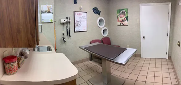Punta Gorda Animal Hospital 12