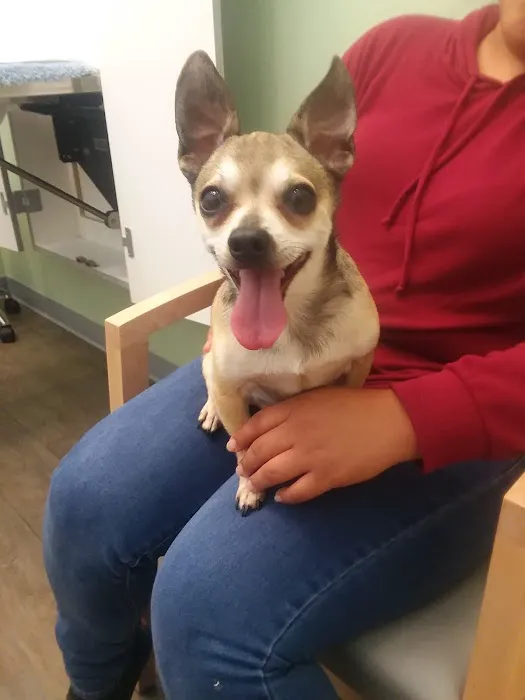 Faithful Friends Animal Hospital 7