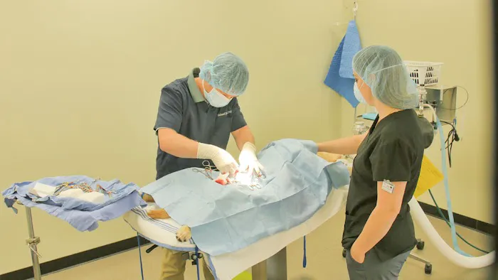 Charlotte Animal Hospital 6