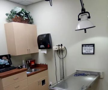 Charlotte Animal Hospital