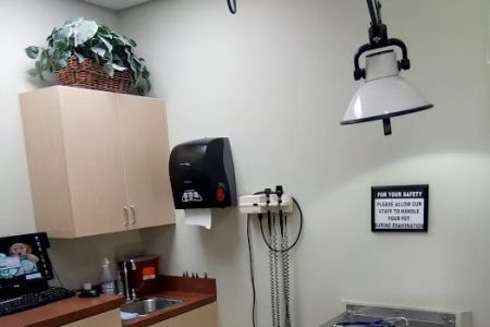 Charlotte Animal Hospital