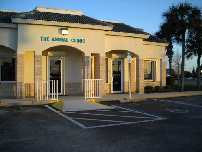 The Animal Clinic 1