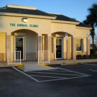 The Animal Clinic ico