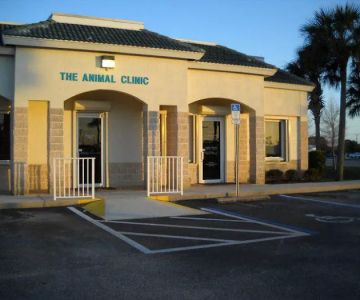 The Animal Clinic
