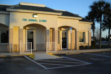 The Animal Clinic