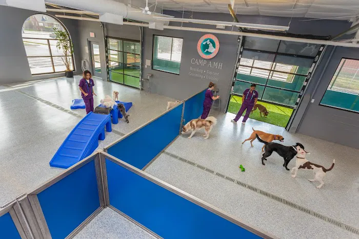 Animal Medical Hospital & Urgent Care 3
