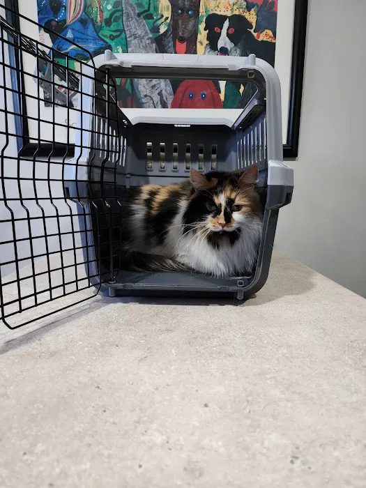 Monroe Road Animal Hospital 9