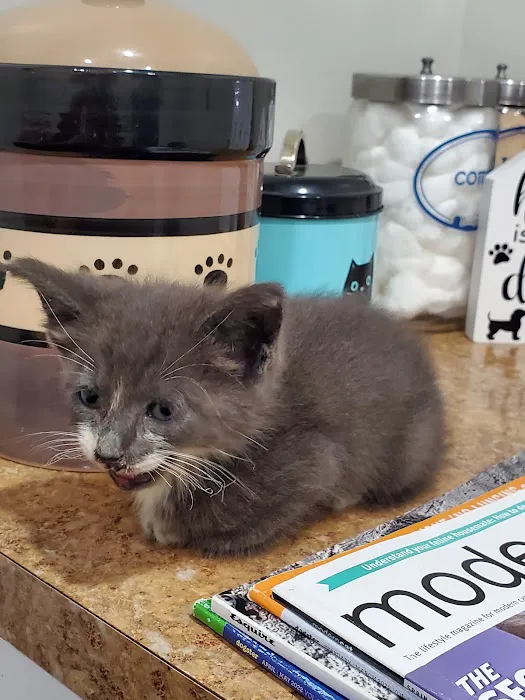Monroe Road Animal Hospital 3