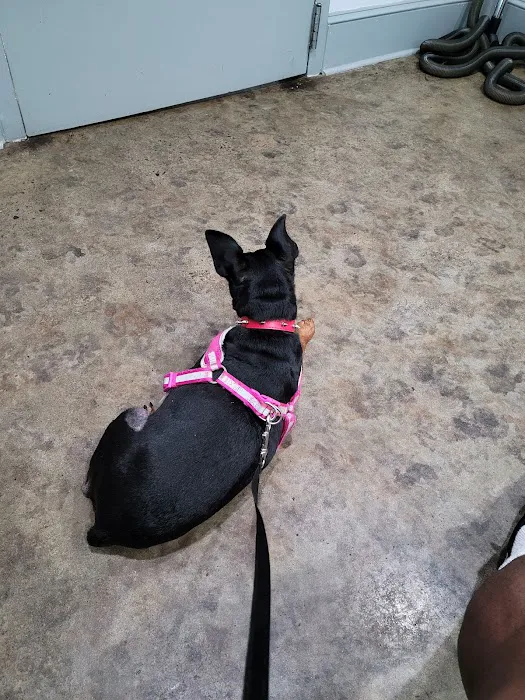 Monroe Road Animal Hospital 5