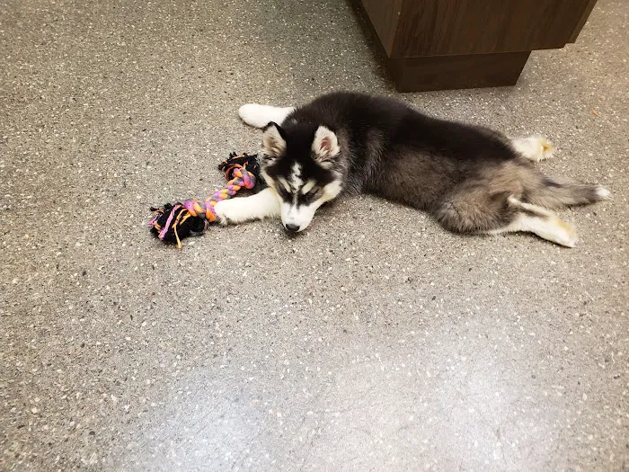 Armstrong Animal Clinic 9