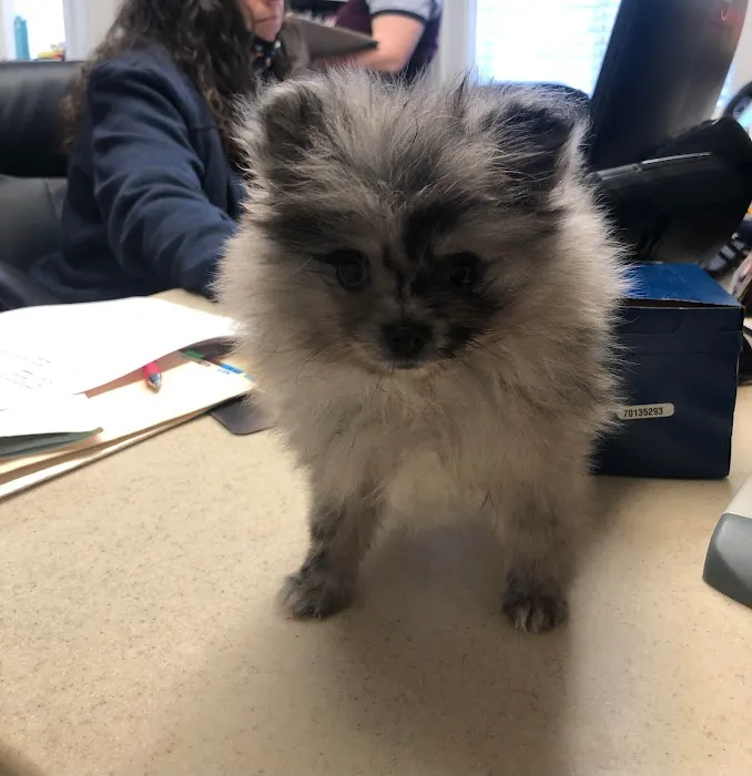 Armstrong Animal Clinic 6