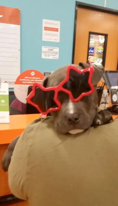 Banfield Pet Hospital 1