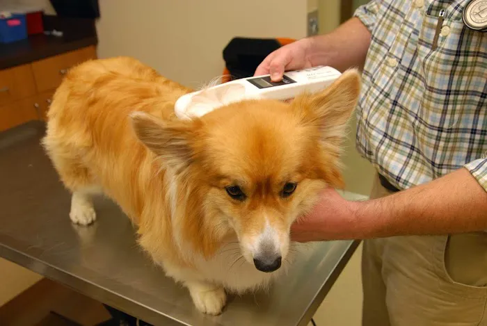 Cotswold Animal Hospital 2