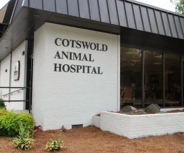 Cotswold Animal Hospital