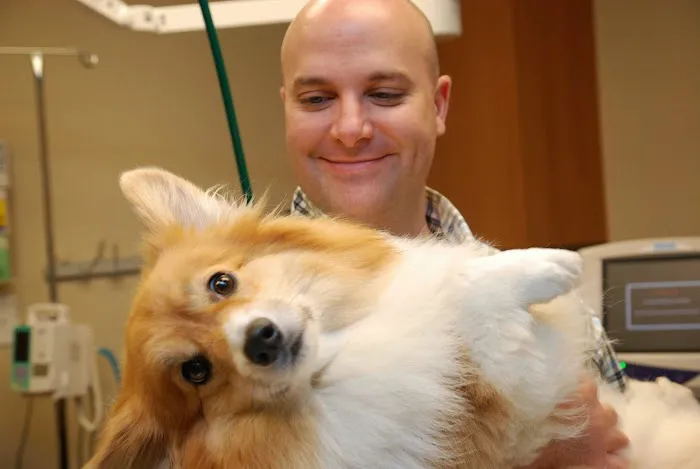 Cotswold Animal Hospital 3