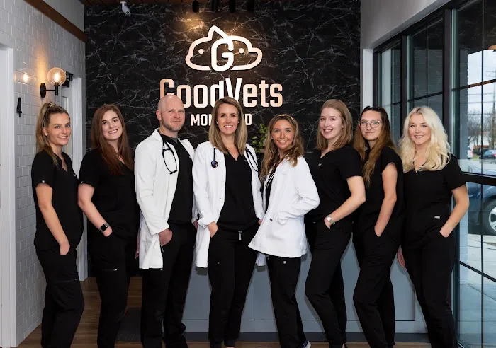 GoodVets Myers Park 6