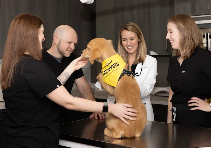 GoodVets Myers Park 4