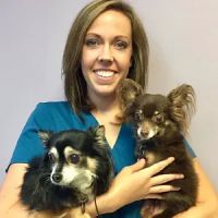 Lauren Hendren, DVM ico