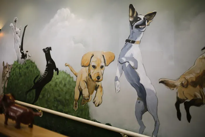 Commonwealth Animal Hospital 9