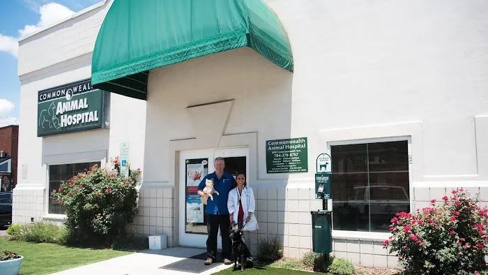Commonwealth Animal Hospital 6