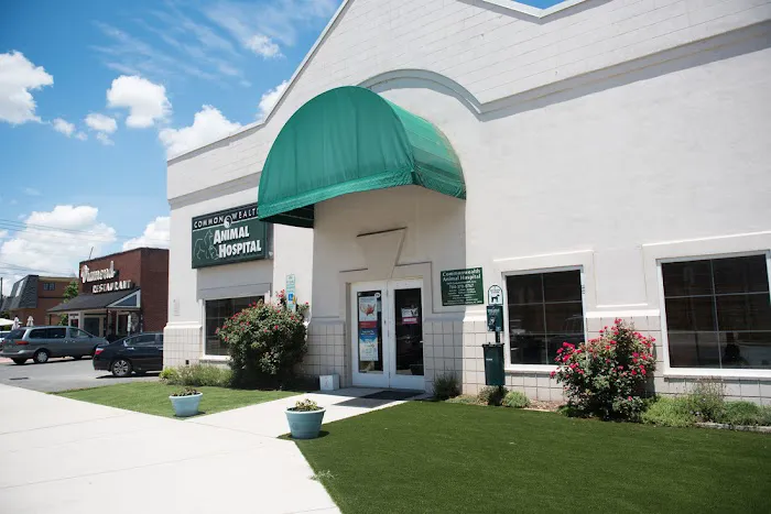 Commonwealth Animal Hospital 10