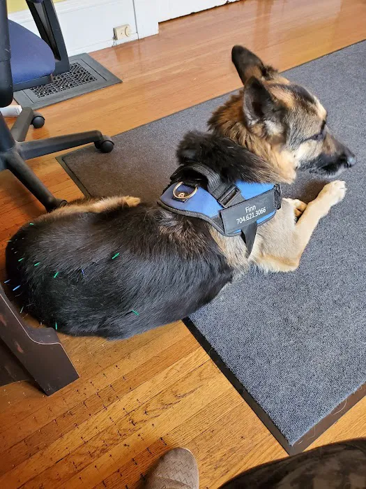 Charlotte Natural Animal Clinic 4