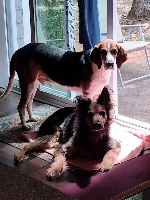 Charlotte Natural Animal Clinic 7