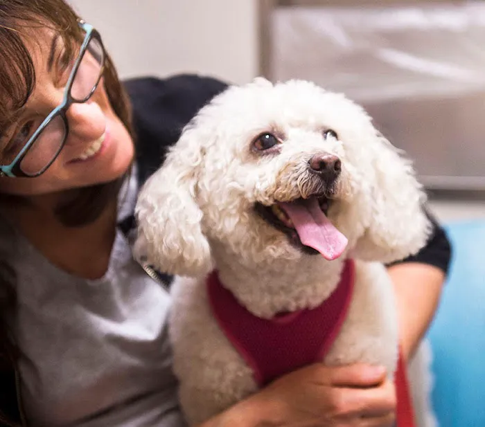 Livewell Animal Hospital of Elizabeth 4