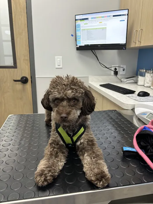 Livewell Animal Hospital of Elizabeth 10