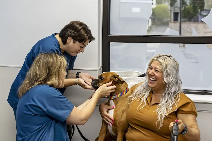 Livewell Animal Hospital of Elizabeth 6