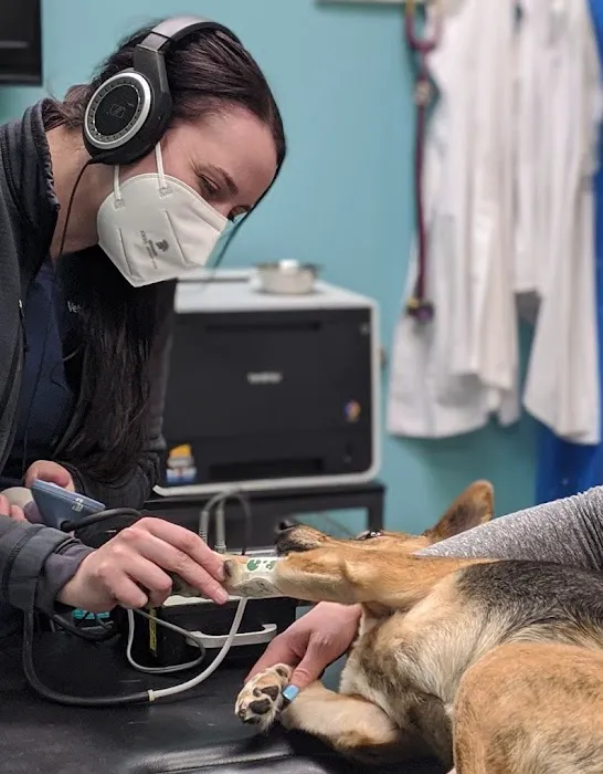 Livewell Animal Hospital of Elizabeth 8