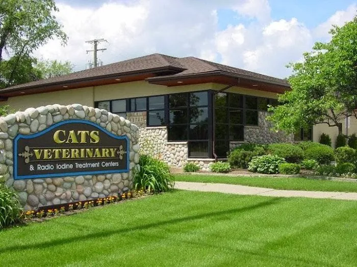 Cats Veterinary 2
