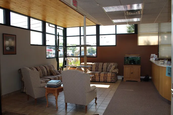 Cats Veterinary 4