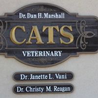 Cats Veterinary ico