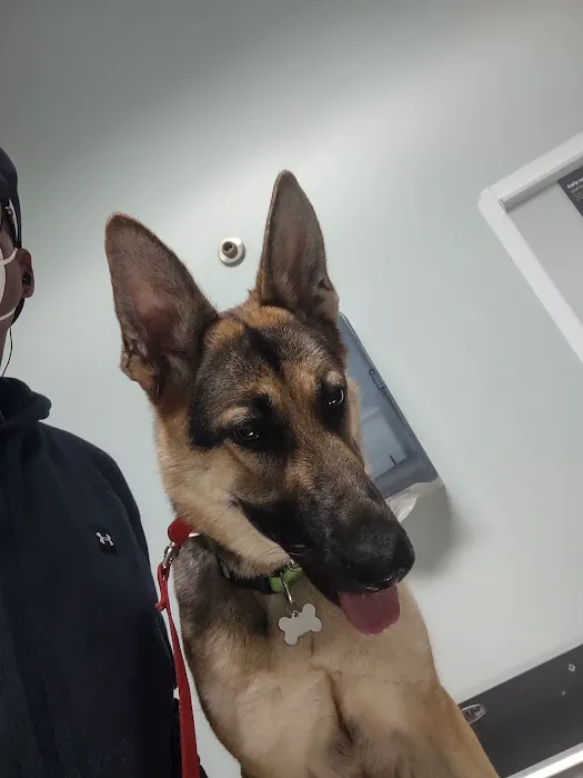 Groesbeck Animal Hospital 3