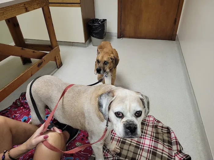 North Gratiot Veterinary Hospital 4