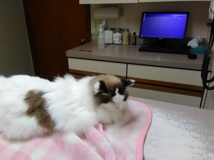 North Gratiot Veterinary Hospital 8