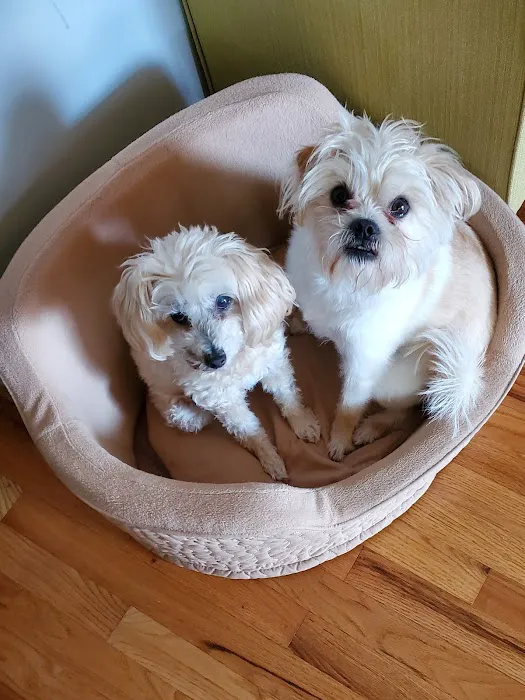 Creekside Animal Hospital 12