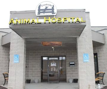 Creekside Animal Hospital