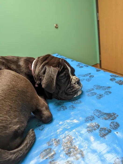 Creekside Animal Hospital 12