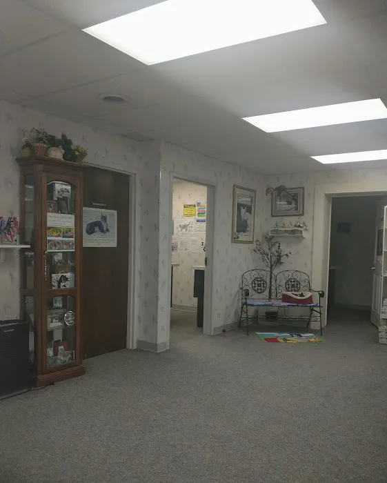 The Kitty Clinic 12