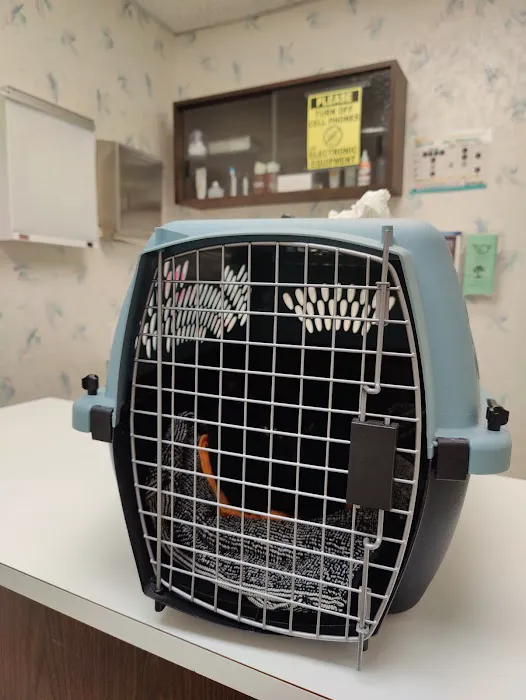 The Kitty Clinic 12
