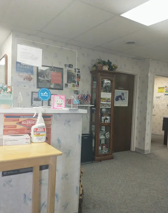 The Kitty Clinic 12