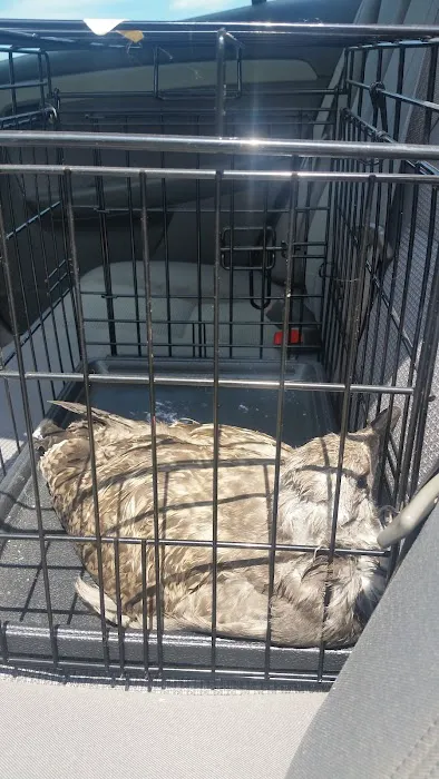 St Francis Animal Hospital 12