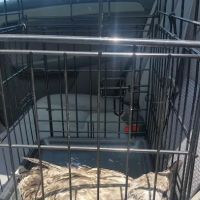 St Francis Animal Hospital ico